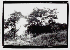 Daguerre